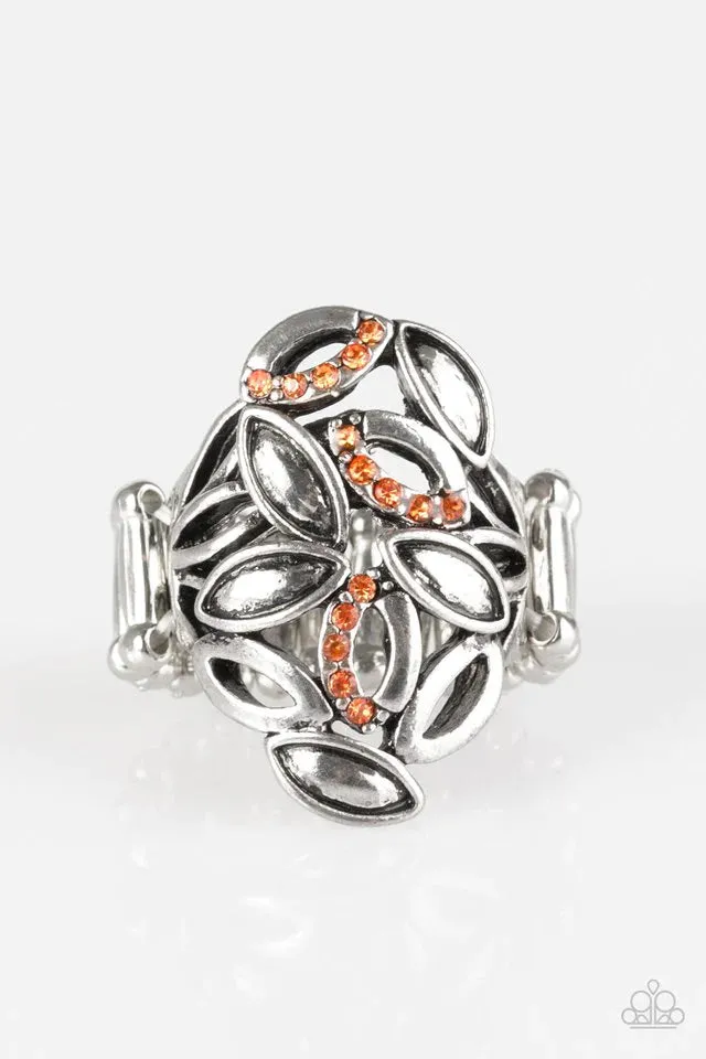 Paparazzi Ring ~ Autumn Awe - Orange